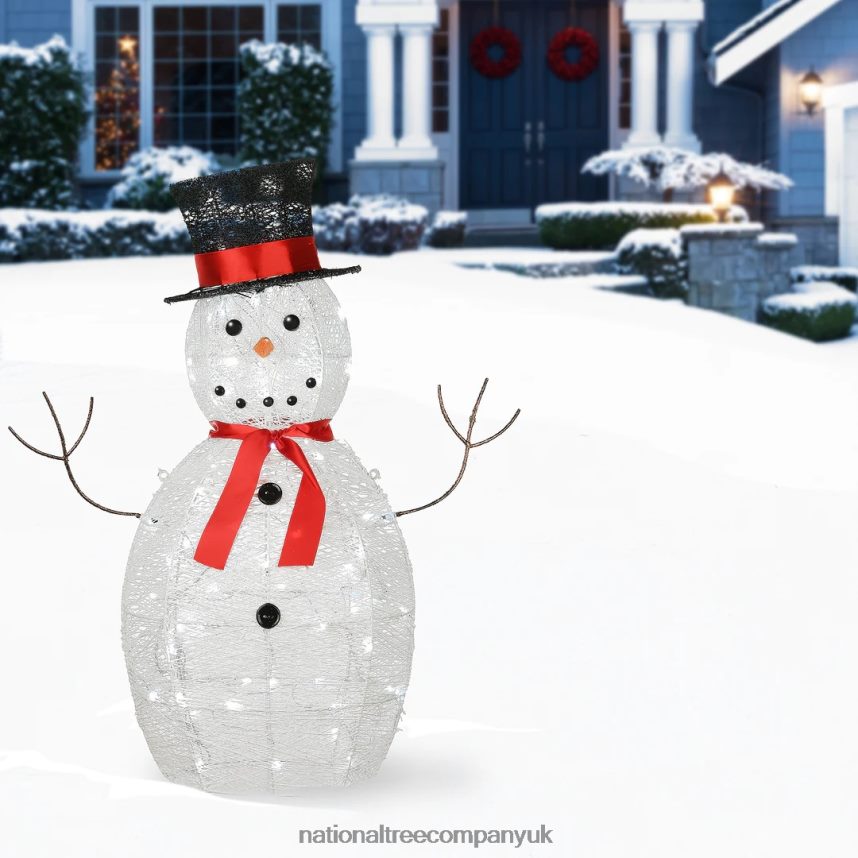 decoration | National Tree Company Pre Lit Sisal Snowman Decoration Cool White LED Lights Plug In Christmas Collection 36 Inches F2L4F637